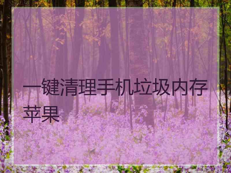 一键清理手机垃圾内存苹果