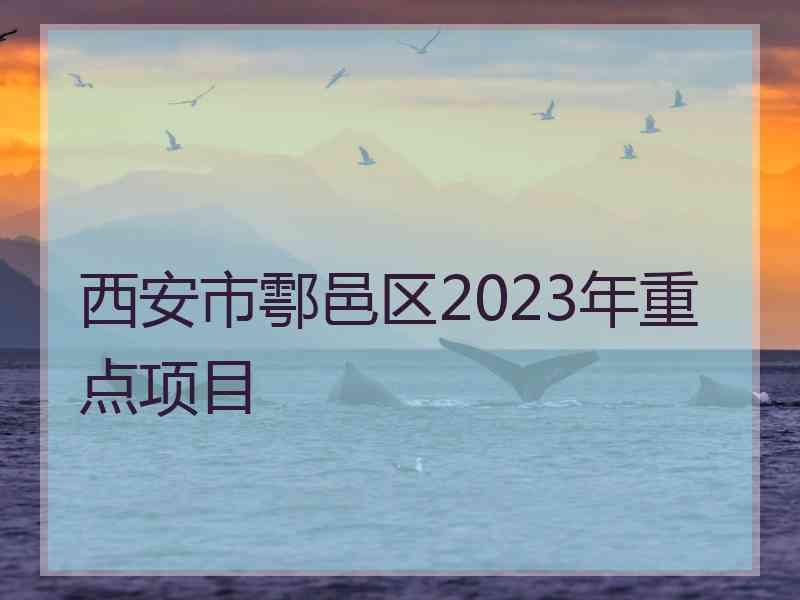 西安市鄠邑区2023年重点项目