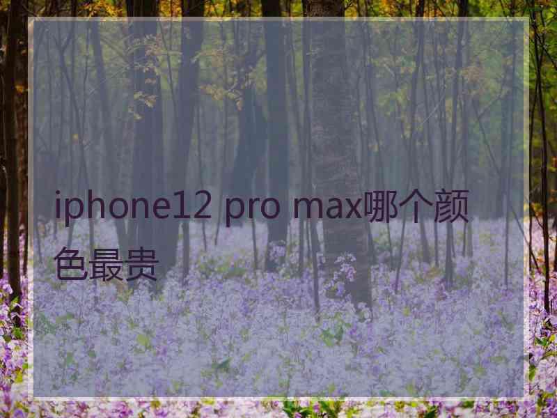 iphone12 pro max哪个颜色最贵