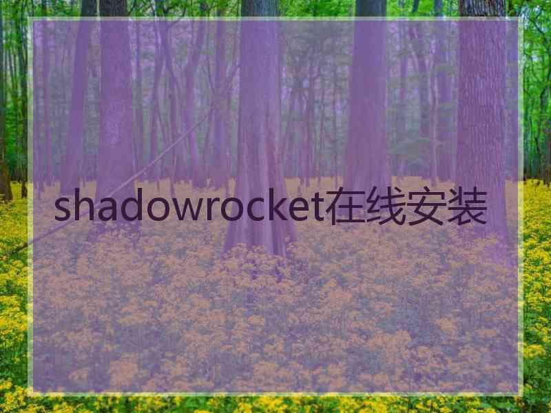 shadowrocket在线安装