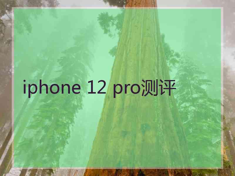 iphone 12 pro测评