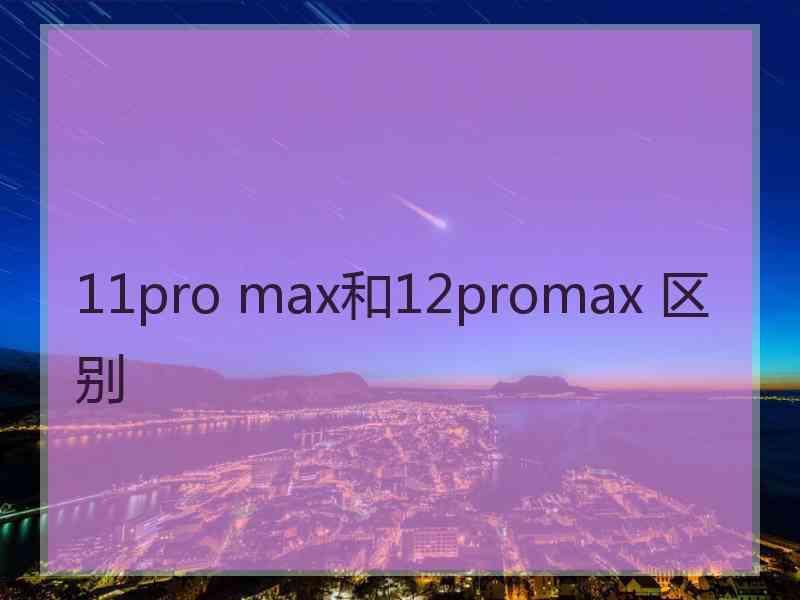 11pro max和12promax 区别