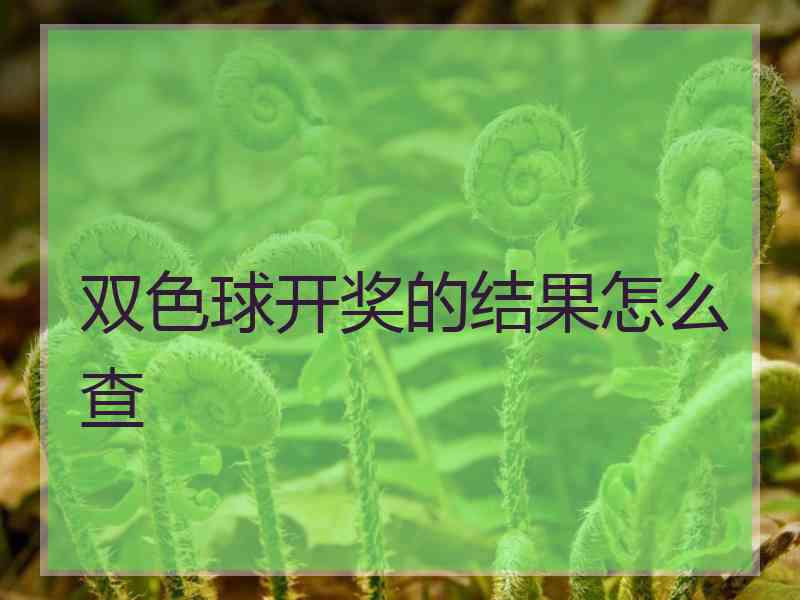 双色球开奖的结果怎么查