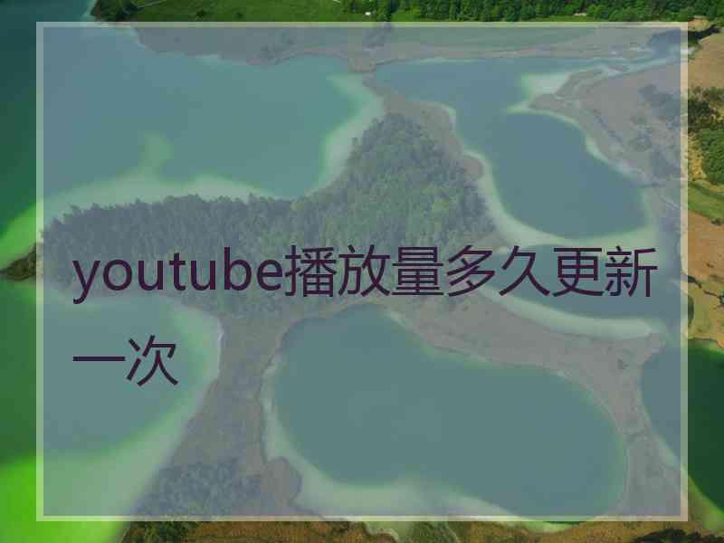 youtube播放量多久更新一次