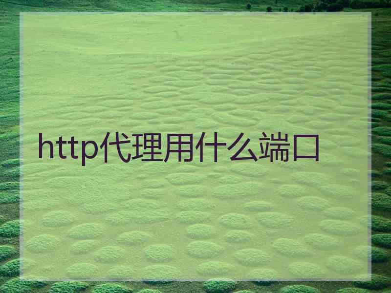 http代理用什么端口