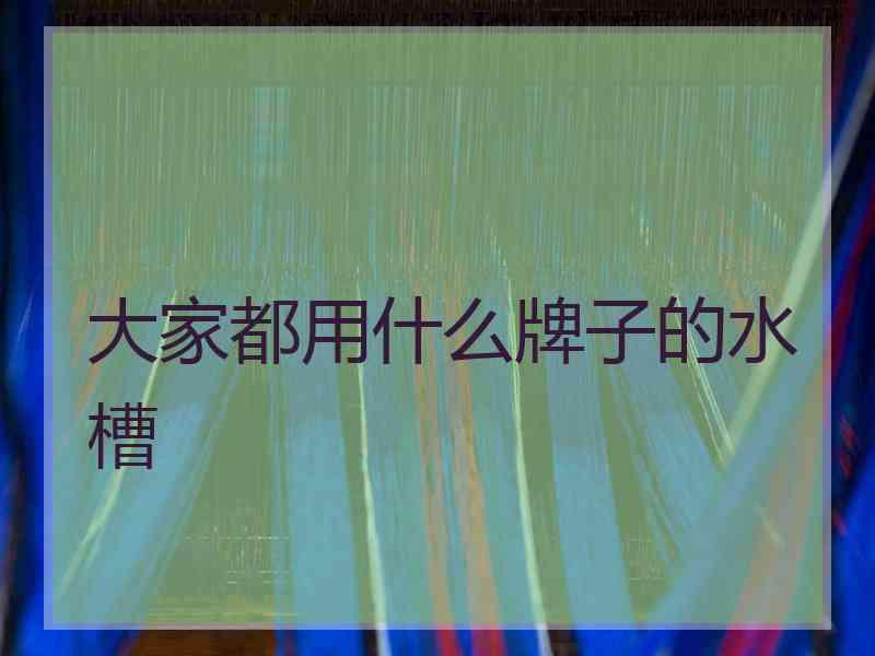 大家都用什么牌子的水槽