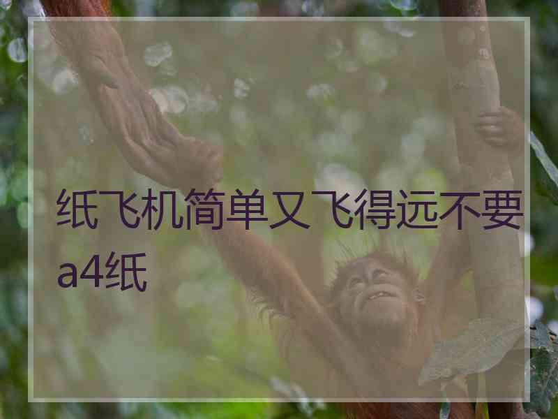 纸飞机简单又飞得远不要a4纸