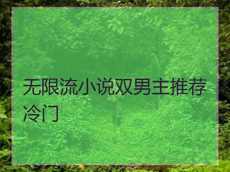 无限流小说双男主推荐冷门