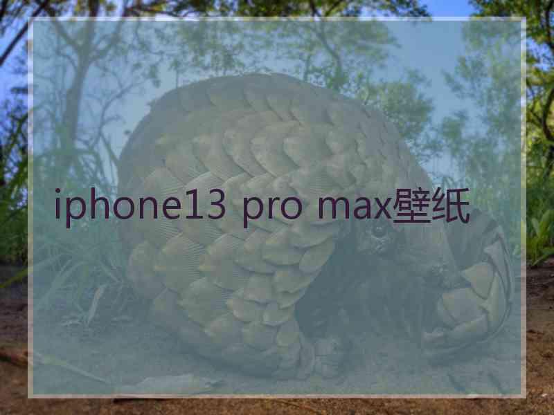 iphone13 pro max壁纸