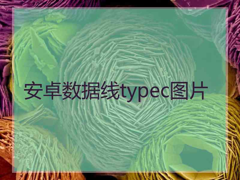 安卓数据线typec图片