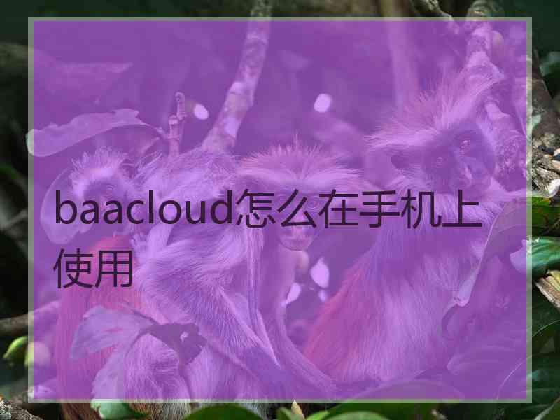 baacloud怎么在手机上使用