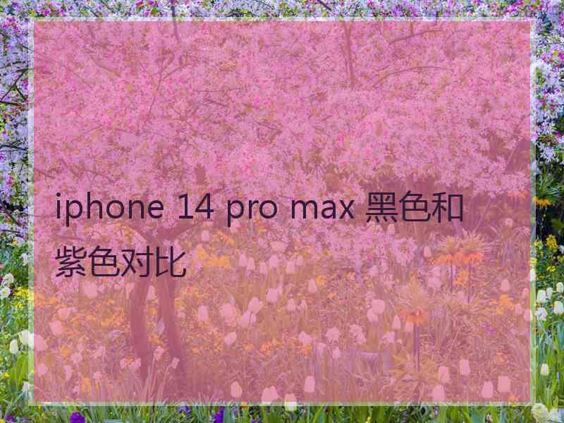 iphone 14 pro max 黑色和紫色对比