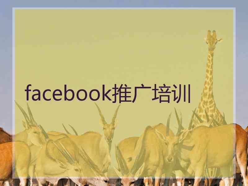 facebook推广培训