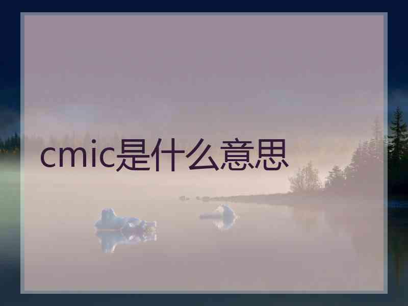 cmic是什么意思