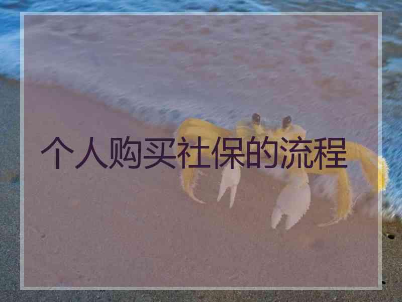 个人购买社保的流程