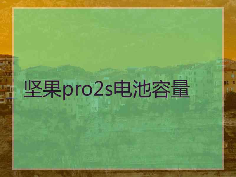 坚果pro2s电池容量