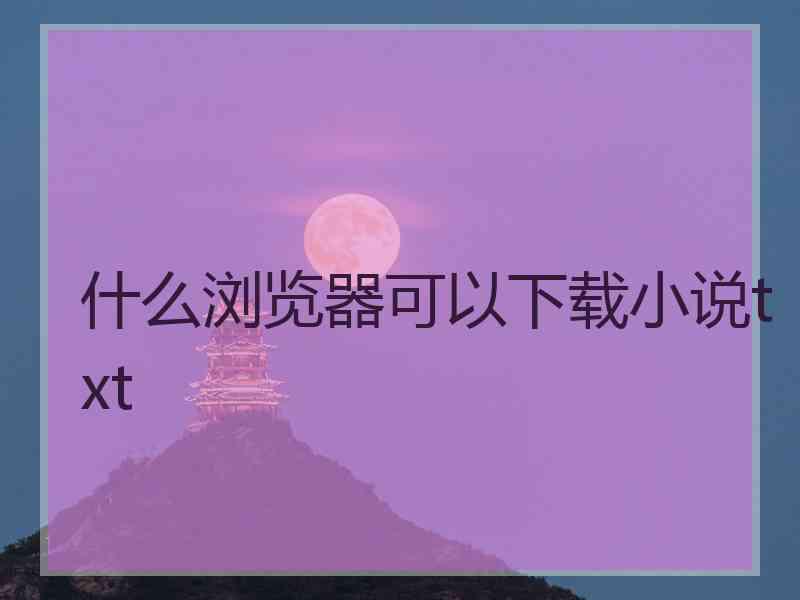 什么浏览器可以下载小说txt