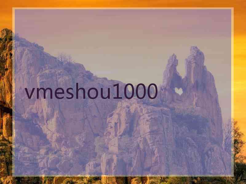 vmeshou1000