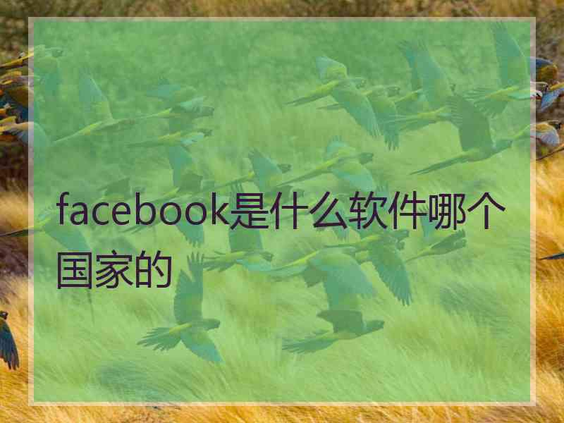 facebook是什么软件哪个国家的