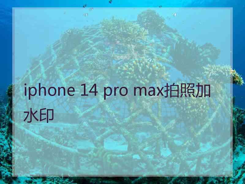 iphone 14 pro max拍照加水印