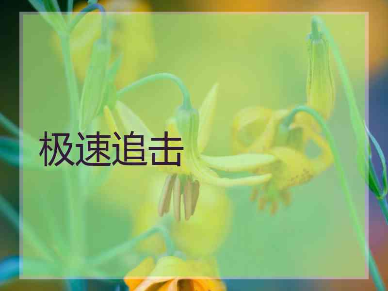 极速追击