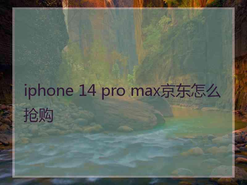 iphone 14 pro max京东怎么抢购