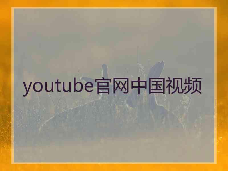 youtube官网中国视频