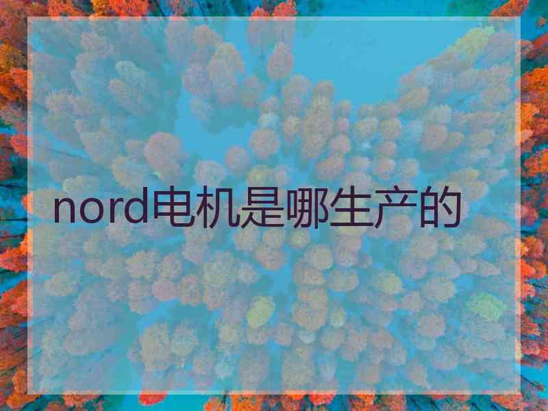 nord电机是哪生产的