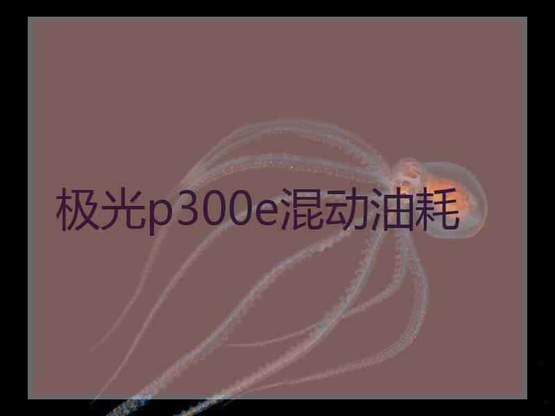 极光p300e混动油耗