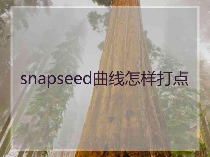 snapseed曲线怎样打点