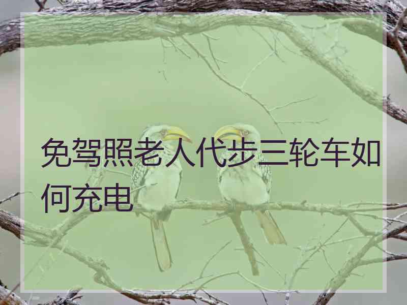 免驾照老人代步三轮车如何充电