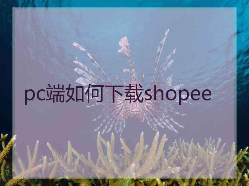 pc端如何下载shopee