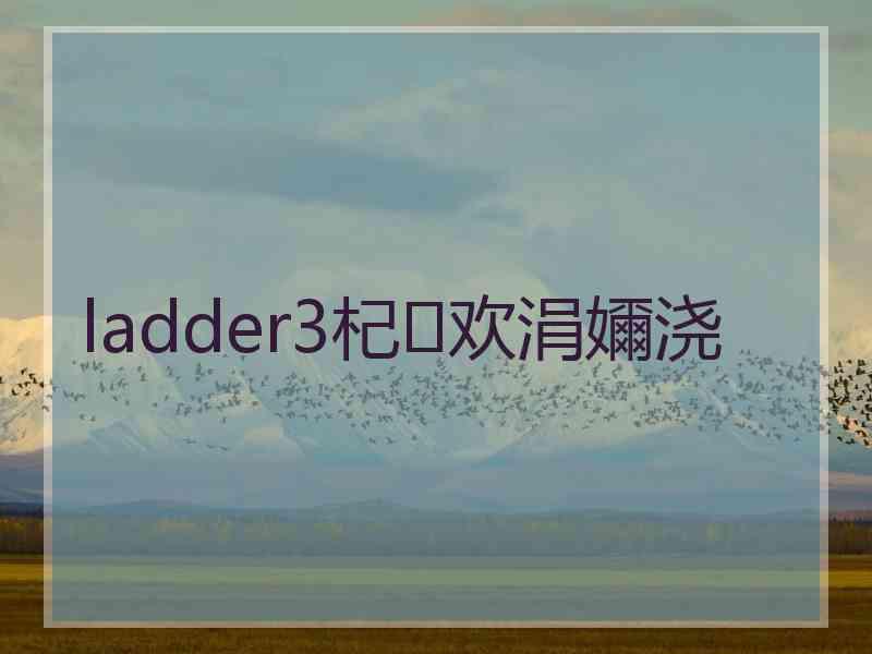 ladder3杞欢涓嬭浇