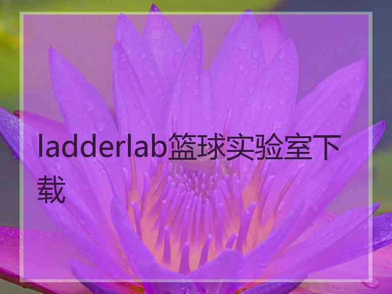 ladderlab篮球实验室下载