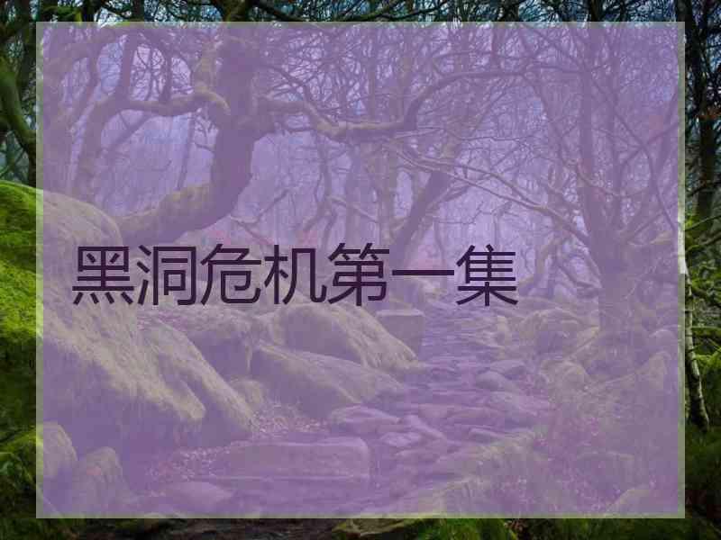 黑洞危机第一集