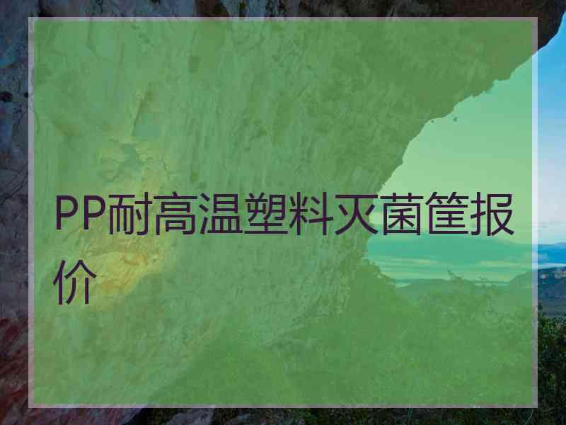 PP耐高温塑料灭菌筐报价