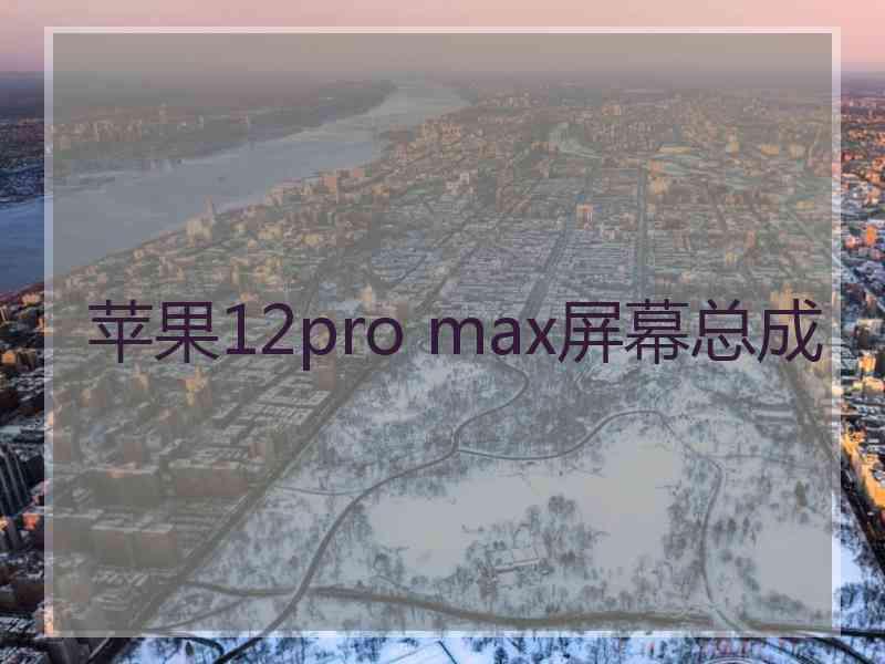 苹果12pro max屏幕总成