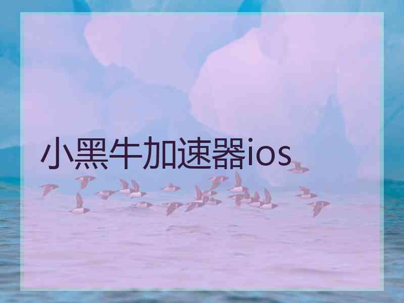 小黑牛加速器ios