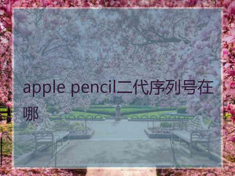 apple pencil二代序列号在哪