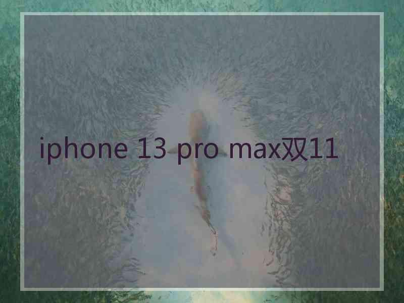 iphone 13 pro max双11