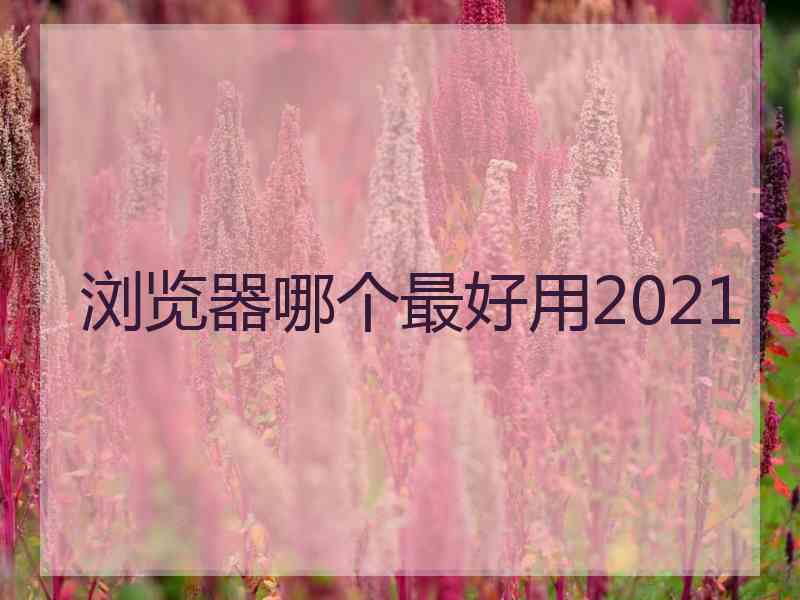 浏览器哪个最好用2021