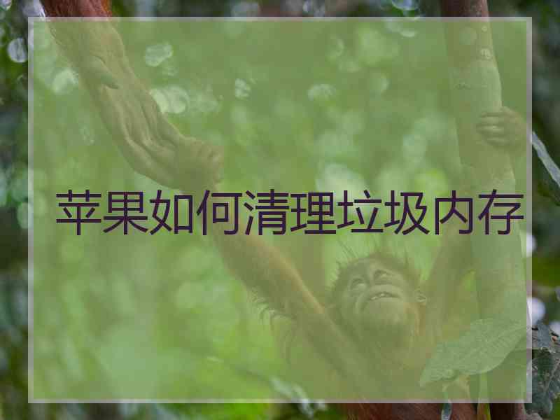 苹果如何清理垃圾内存