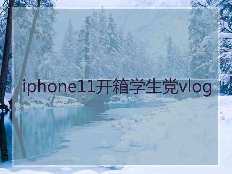 iphone11开箱学生党vlog