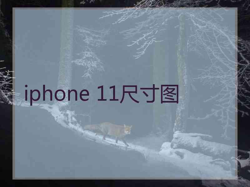 iphone 11尺寸图