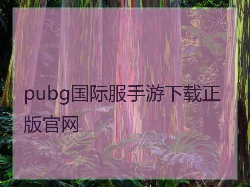 pubg国际服手游下载正版官网