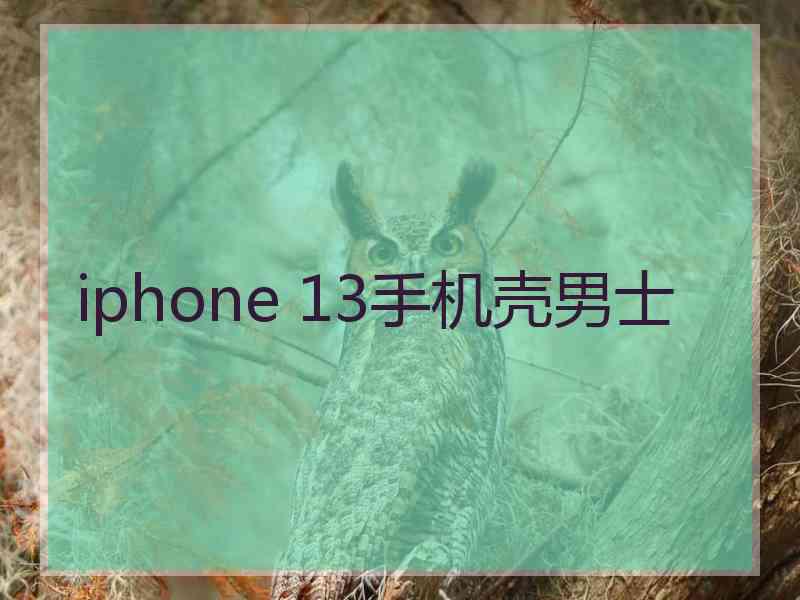 iphone 13手机壳男士