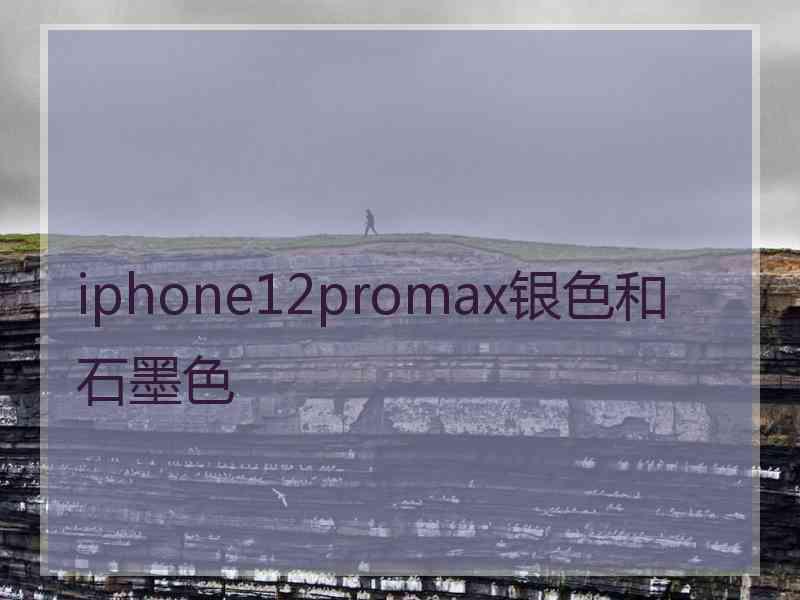 iphone12promax银色和石墨色