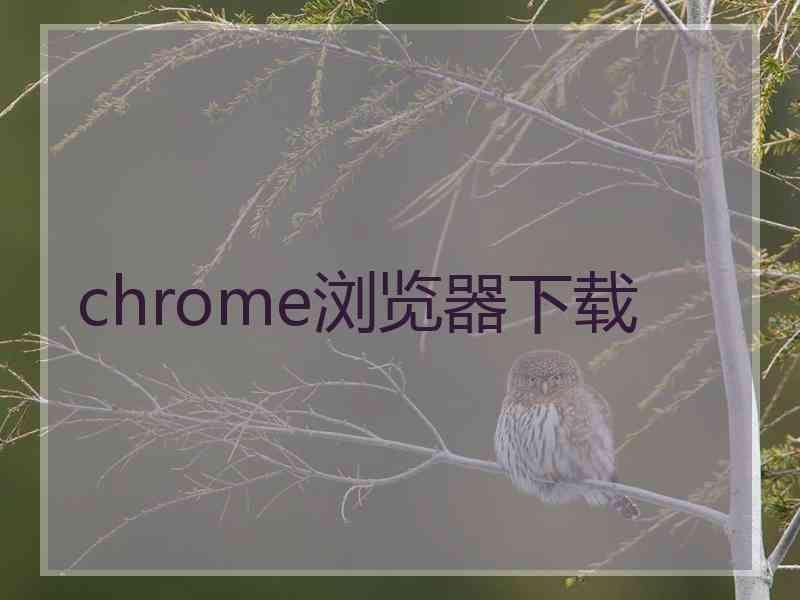 chrome浏览器下载