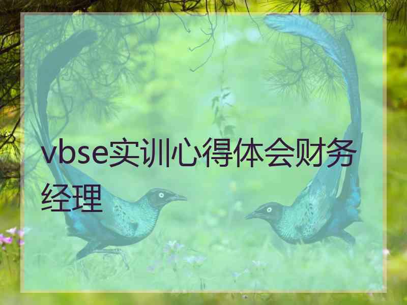 vbse实训心得体会财务经理