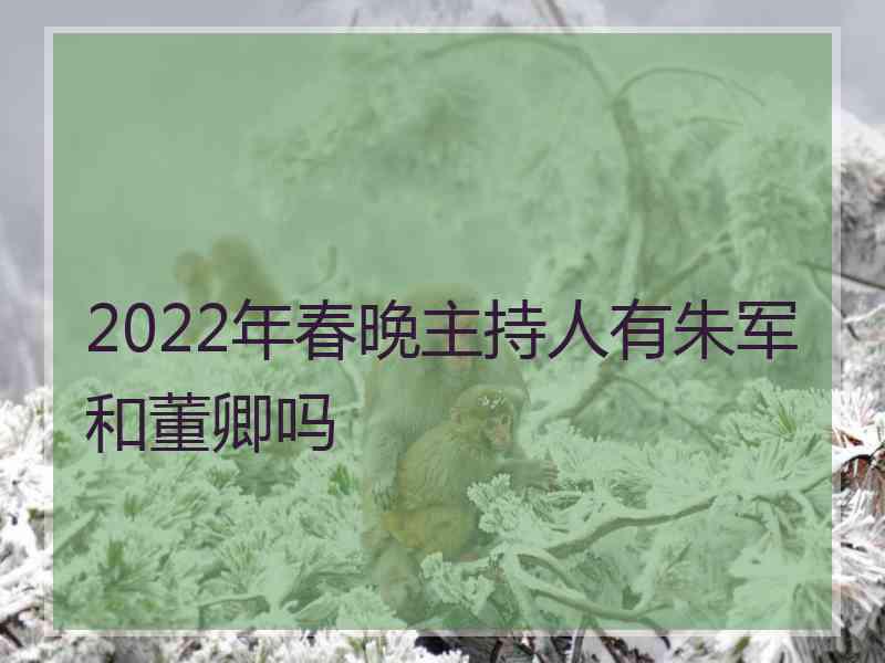 2022年春晚主持人有朱军和董卿吗